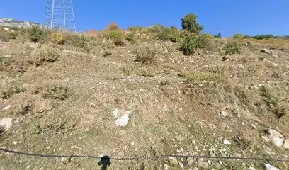 Bim