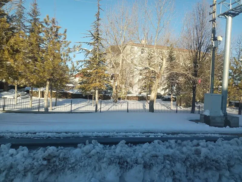 Bim ÇAYBAŞI - Photo 6