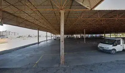 Bit pazarı (Çarşamba günü)