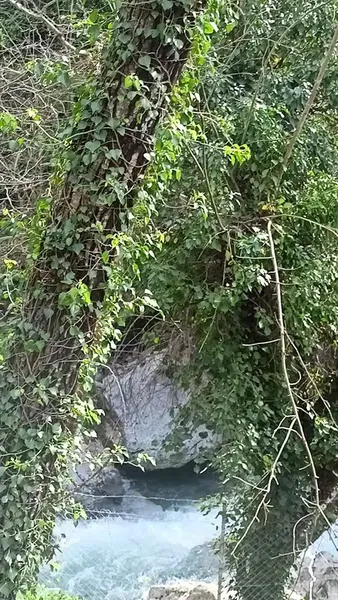 Biyiklioglu garden - Photo 1