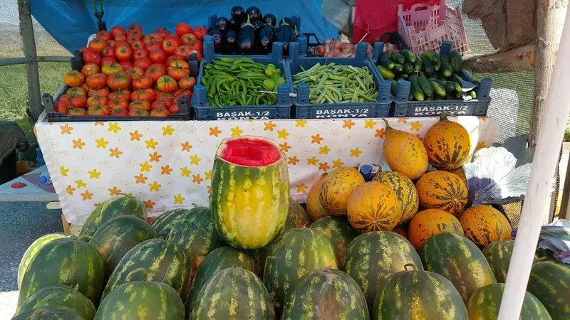 Bizim Bahçe Seydişehir - Photo 2