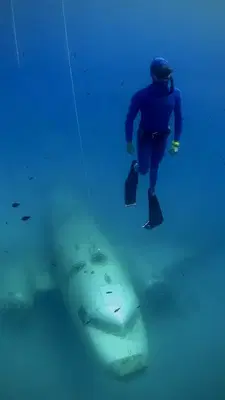 Bluedoor Freediving School