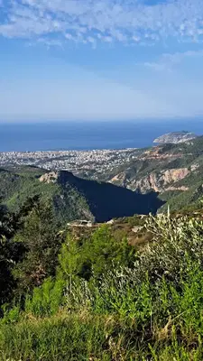 Bora'nın Çiftliği Alanya