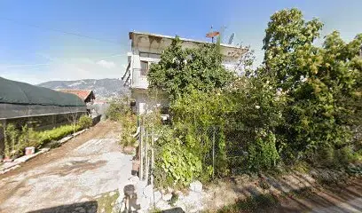 Botanikevi