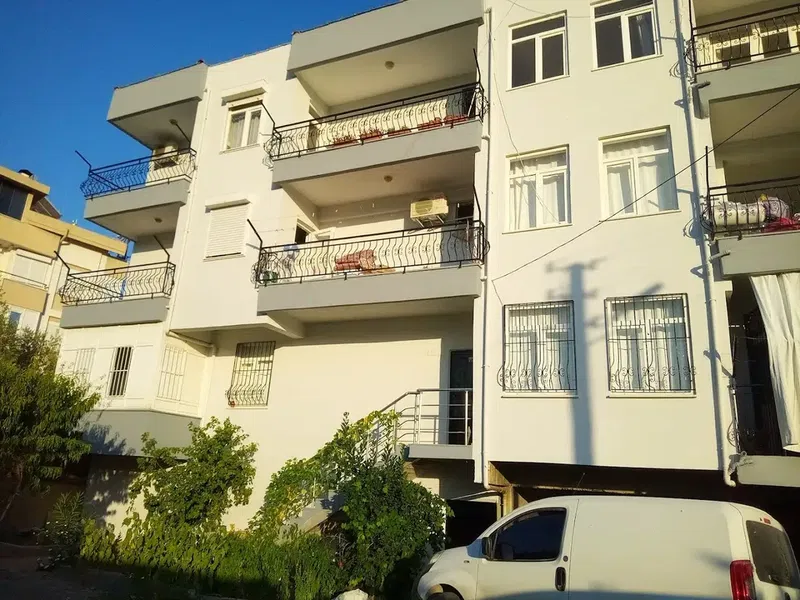 Boya badana - Photo 2