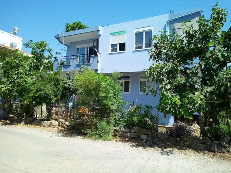 Boya badana - Photo 3