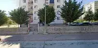 Bozkurt Yuvası