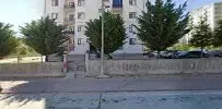 Bozkurt Yuvası - Photo 1