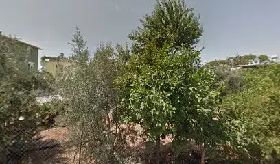 Boğaziçi Eğitim Kurumları