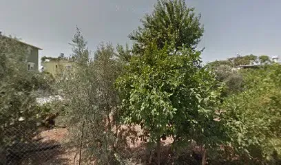 Boğaziçi Eğitim Kurumları - Photo 1