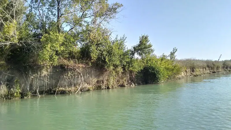 Boğazkent İskelesi - Photo 1