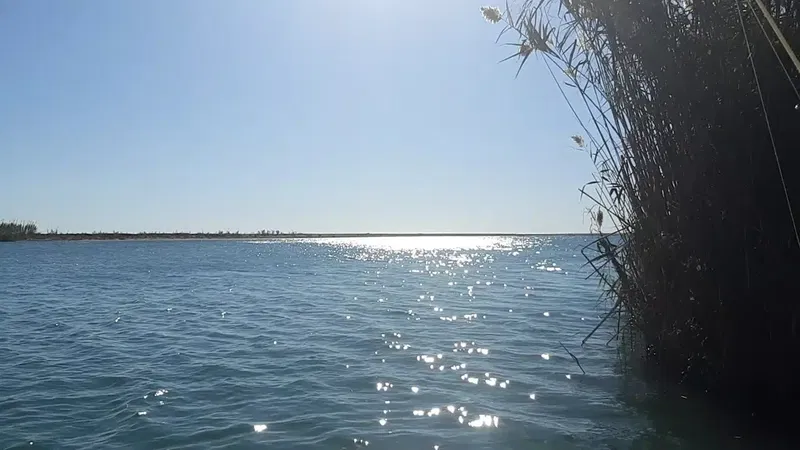 Boğazkent İskelesi - Photo 8