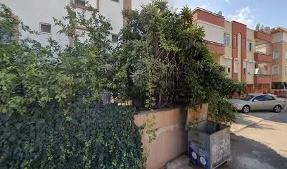 Boş Ev Temizliği - Photo 1