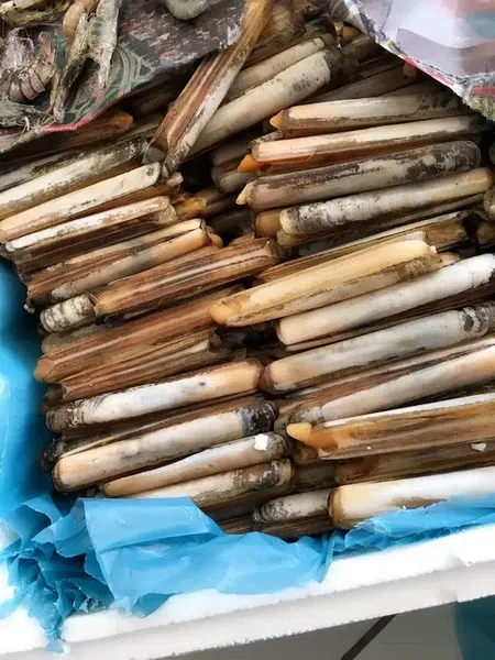 Brs Av Dünyası - Photo 5