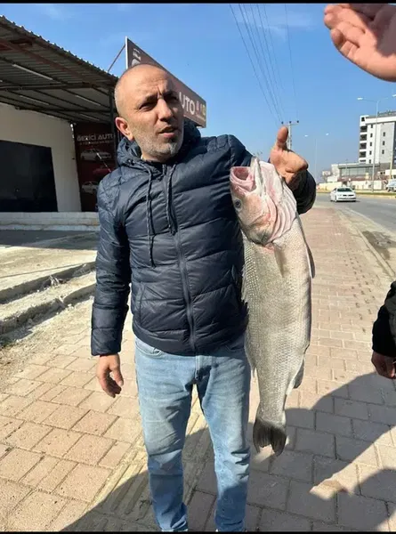 Brs Av Dünyası - Photo 9