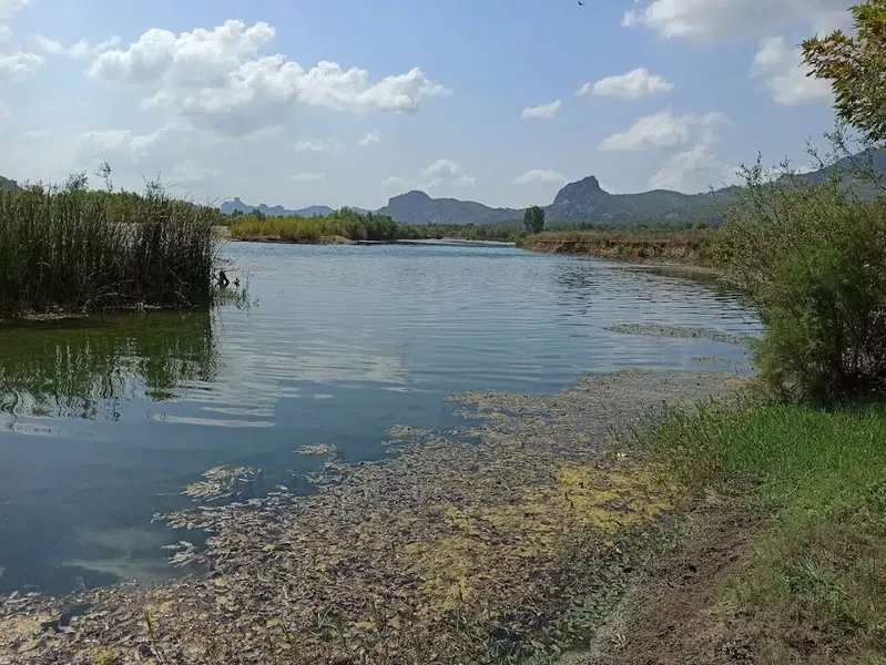 Bucakkoy Koyu Muhtarligi - Photo 1