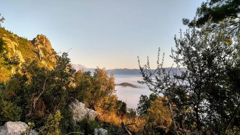 Bucakkoy Koyu Muhtarligi - Photo 2
