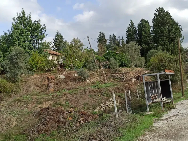 Bucakkoy Koyu Muhtarligi - Photo 4