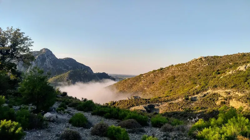 Bucakkoy Koyu Muhtarligi - Photo 5