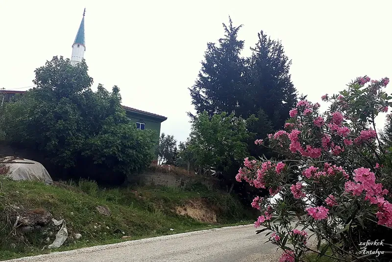 Bucakkoy Koyu Muhtarligi - Photo 6