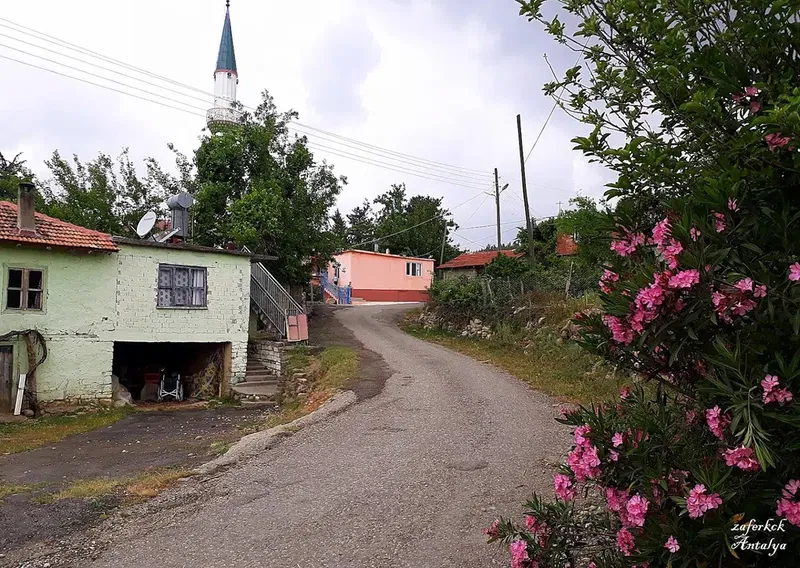 Bucakkoy Koyu Muhtarligi - Photo 8
