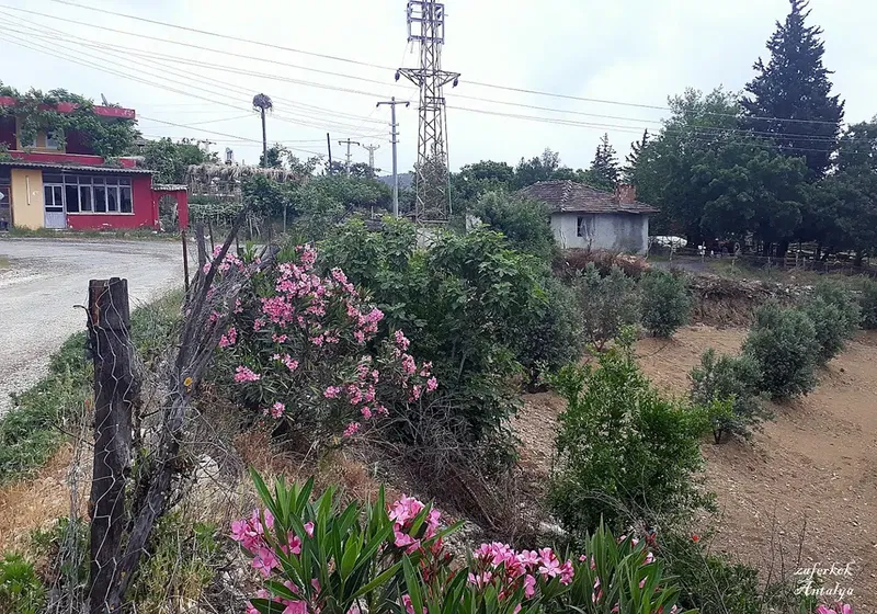 Bucakkoy Koyu Muhtarligi - Photo 10