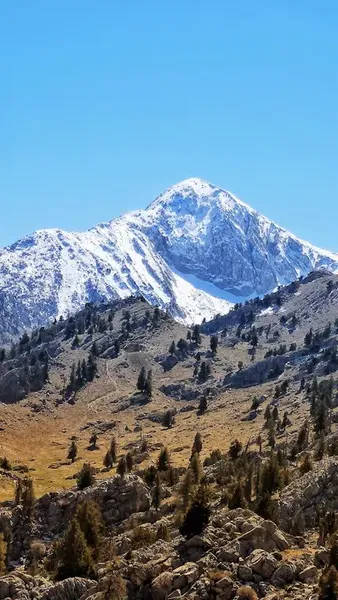Bucakköy Yaylasi - Photo 6