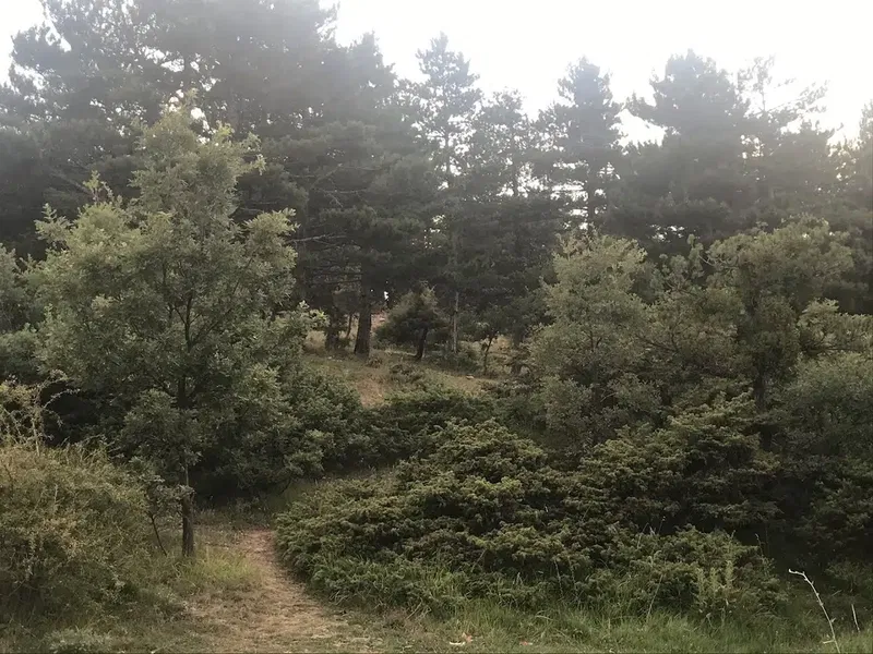 Bulcuk Sulama Göleti - Photo 5