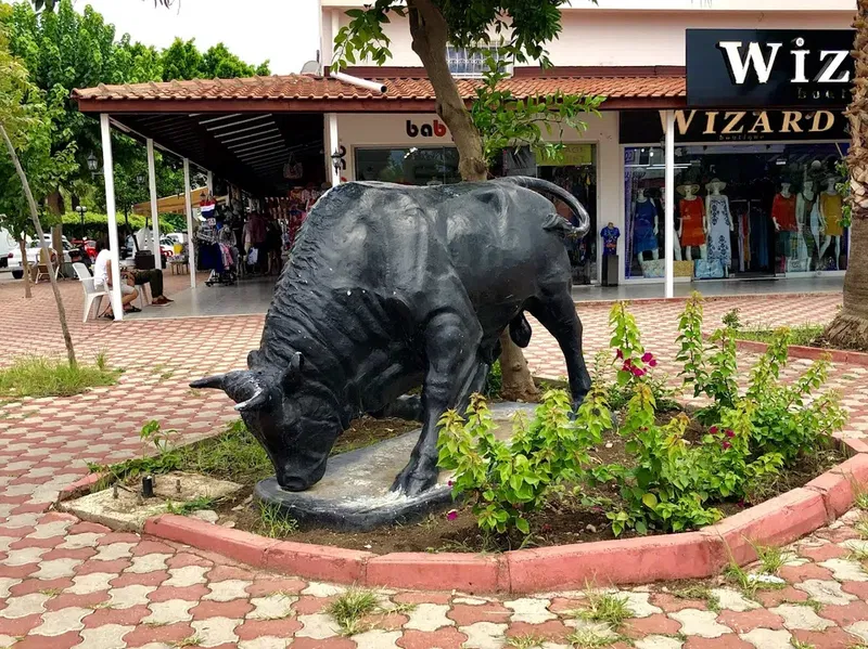 Bull - Photo 3