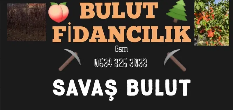 Bulut Fi̇dancilik - Photo 2