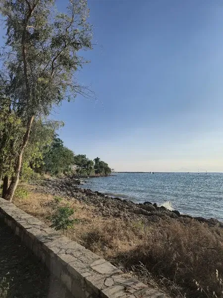 Büyük Plaj - Photo 5