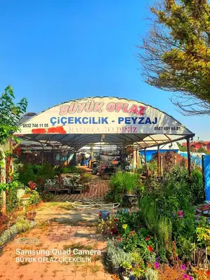 Büyükoflaz çiçekçilik peysaj