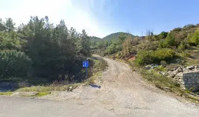 Bızdıkçı