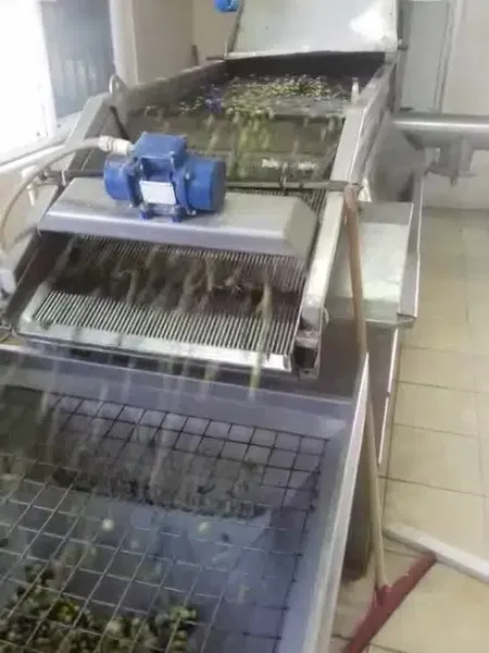Bıçkıcı Zeytinyağı Fabrikasi - Photo 5