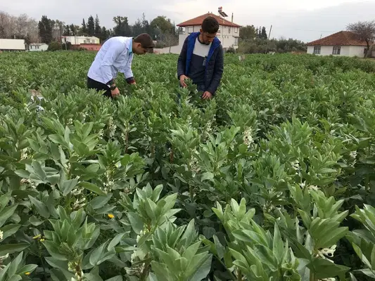 C.A California Solucan Ve Gübre Üretim Tesisi
