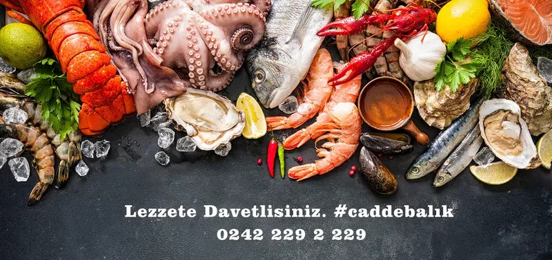 Cadde Balıkçısı - Photo 3