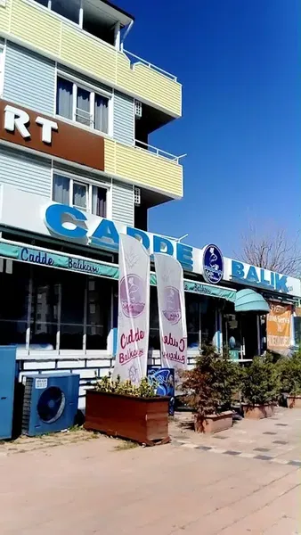 Cadde Balıkçısı - Photo 10