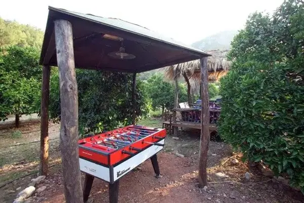 Cafe Cactus