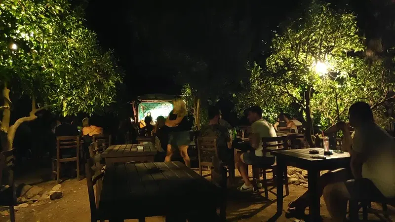 Cactus Cafe - Photo 2