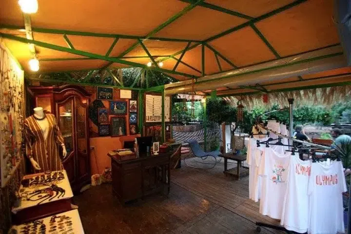 Cactus Cafe - Photo 5