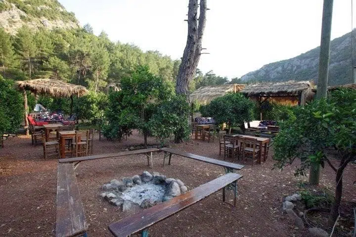 Cactus Cafe - Photo 7
