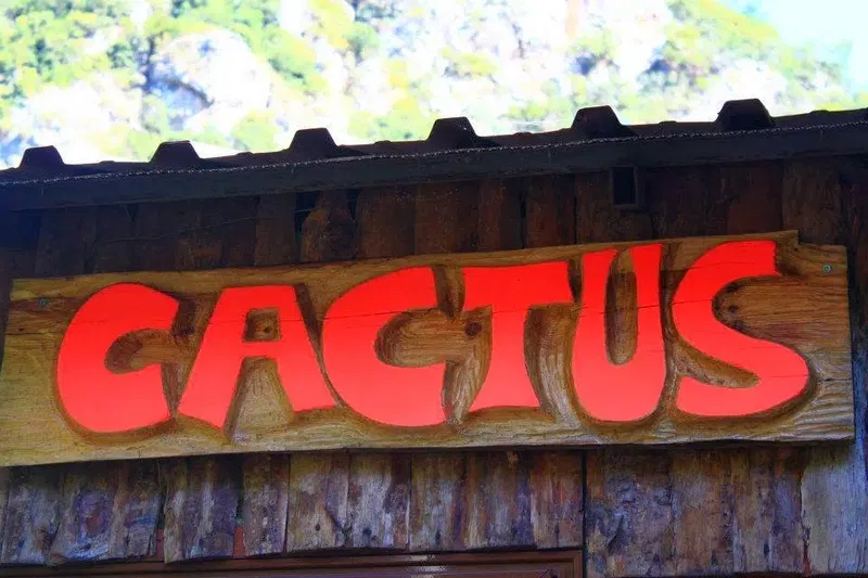 Cactus Cafe - Photo 9