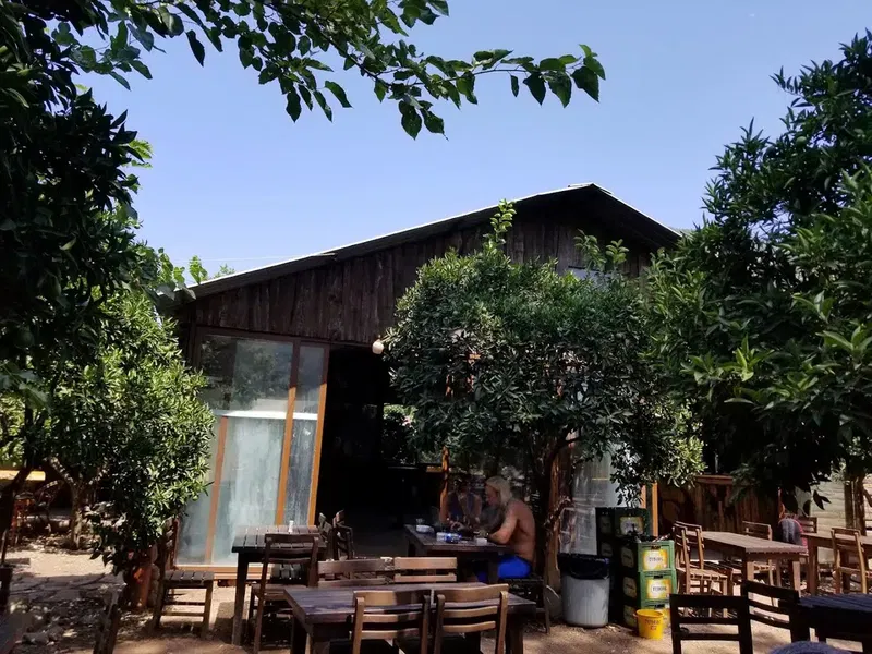 Cactus Cafe - Photo 10
