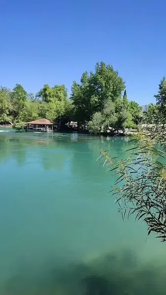 Cafe Şelale Garden - Photo 2