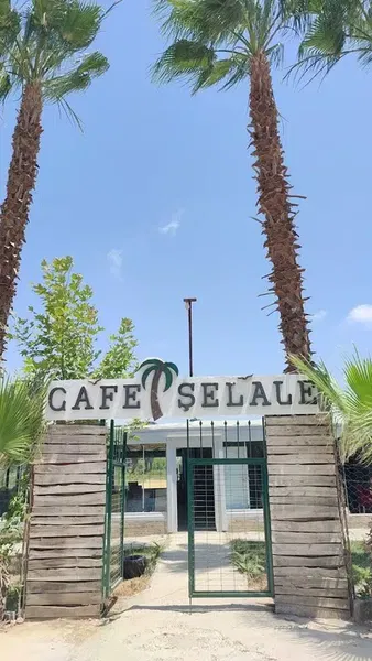 Cafe Şelale Garden - Photo 3