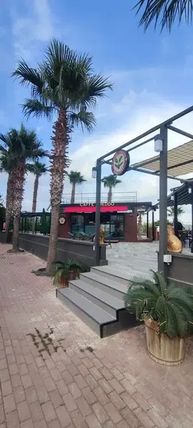 Caffe Freddo Roastery - Photo 4