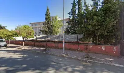 Cahi̇de Topsakal Muaynehane