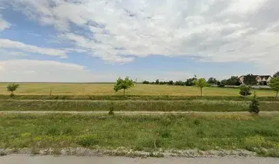 Canerin Çiftliği