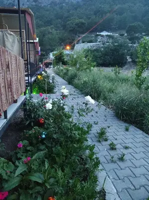 Canısı Apart Evleri