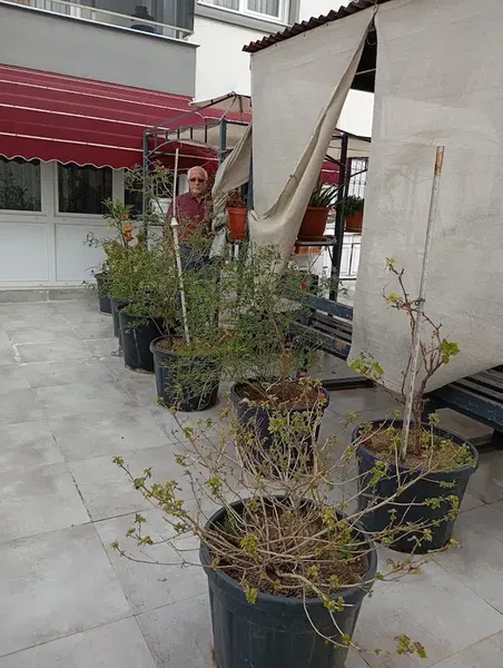 Capital Inşaat - Photo 2